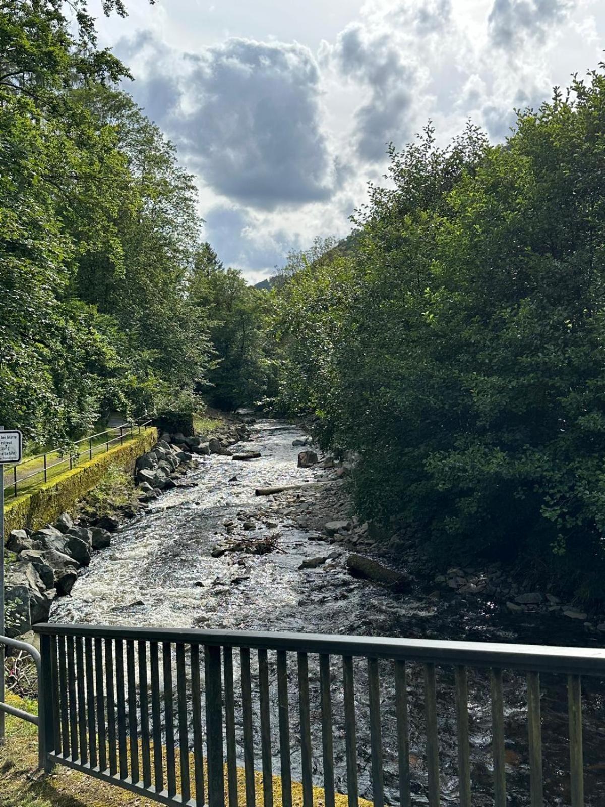 Ferienbutzen Harz Heikenberg, Bad Lauterberg Mit Schwimmbad Und Sauna Exterior photo